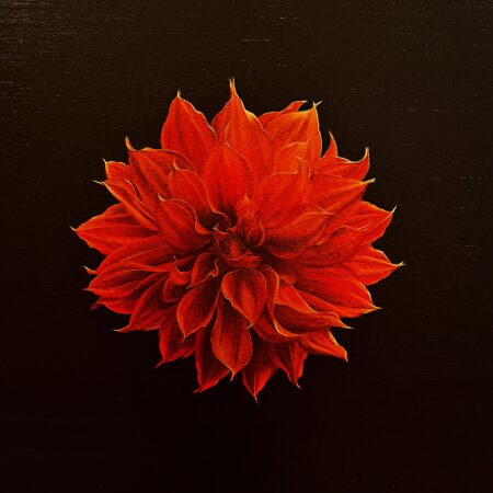 In the Centre of the Heart, Red Dahlia