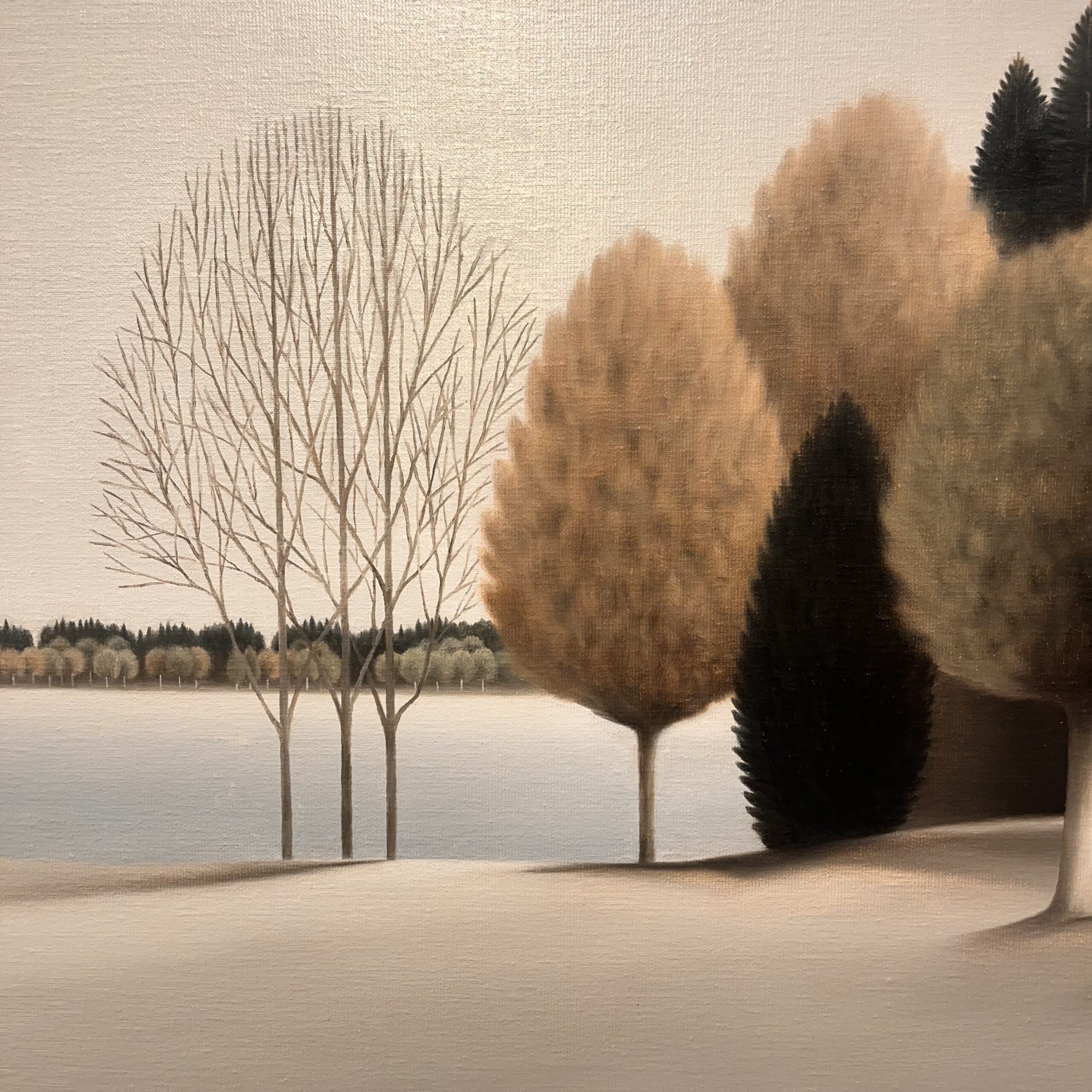 Searching for Silence - 89x130 Fragmento