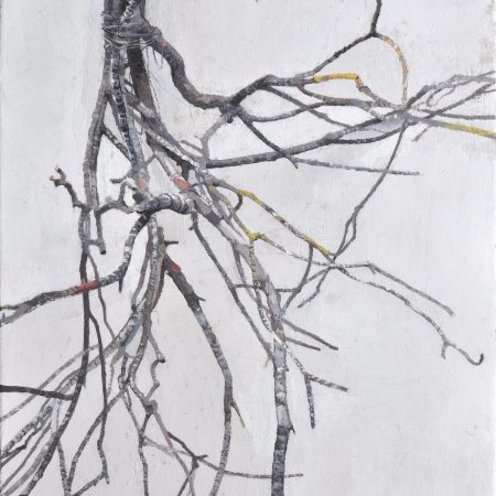 SOBRE LA ARBITRARIEDAD DE LAS FORMAS 1